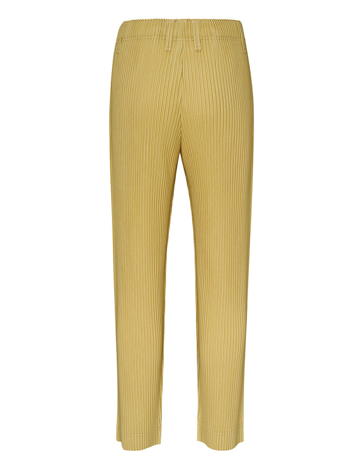 Tailored Pleats 1 Pants